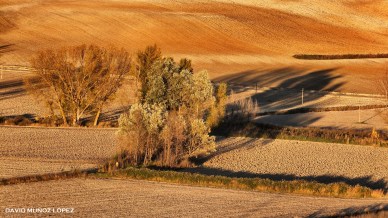 Cumpleaños Joaquín.2 (14-5-15)