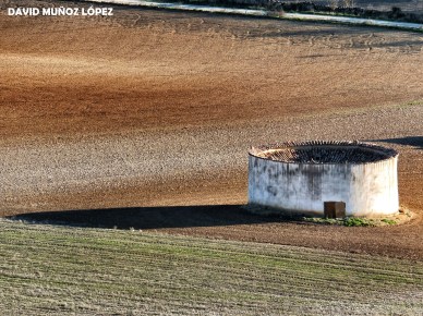 Palomar Urueña (Noviembre 2015)